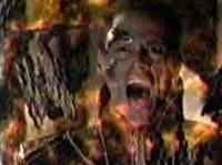 Does this force-field make me look fat?  It does???!!! AHHHHHH!!